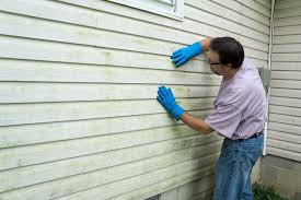 Best Wood Siding Installation  in Coarsegold, CA